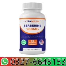 Vitamatic Berberine Supplement 500mg in Pakistan