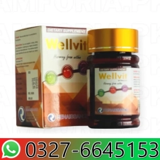 Wellvit Tablets in Pakistan